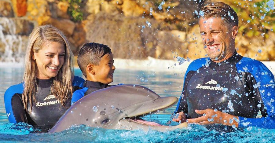 Algarve Zoomarine Ticket and Dolphin Emotions Experience - The lagoon setting and first contact