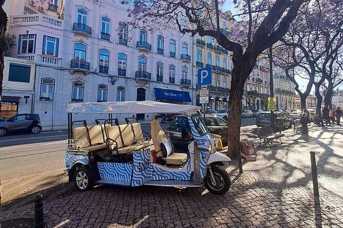 All City Premium Private Guided Tour by Tuk-Tuk in Lisbon - What the guide adds to the ride