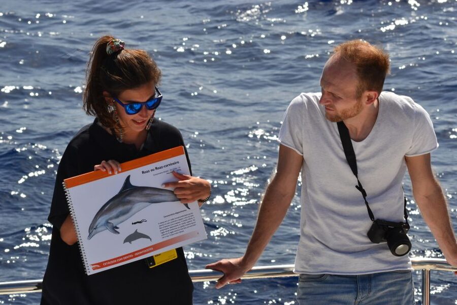 All Inclusive Whale and Dolphin Watching Luxury Tour - Practical details for a smoother day
