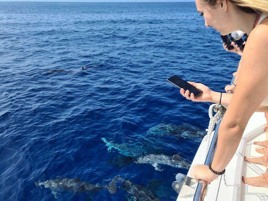 All Inclusive Whale and Dolphin Watching Luxury Tour - The 30-minute secret stop