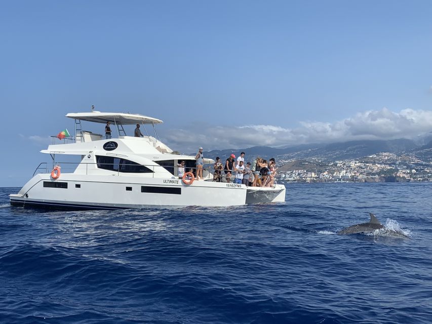 All Inclusive Whale and Dolphin Watching Luxury Tour - Who should book this Madeira cruise?