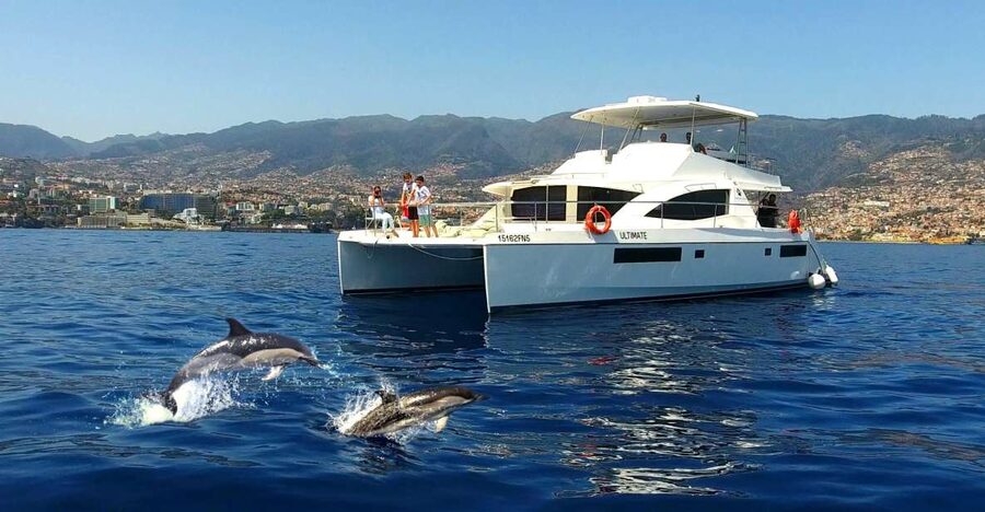All Inclusive Whale and Dolphin Watching Luxury Tour - The first 45 minutes: heading into open water