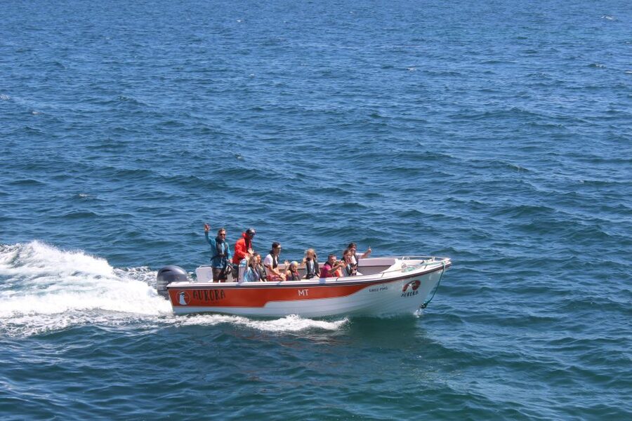 Armação de Pêra: Guided Boat Tour of Benagil's 15 Best Caves - Timing, weather, and what to bring