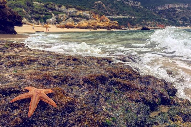 Arrabida Safari – Europe's Most Beautiful Beach & Hidden Gems - Leaving Lisbon across the 25 April Bridge