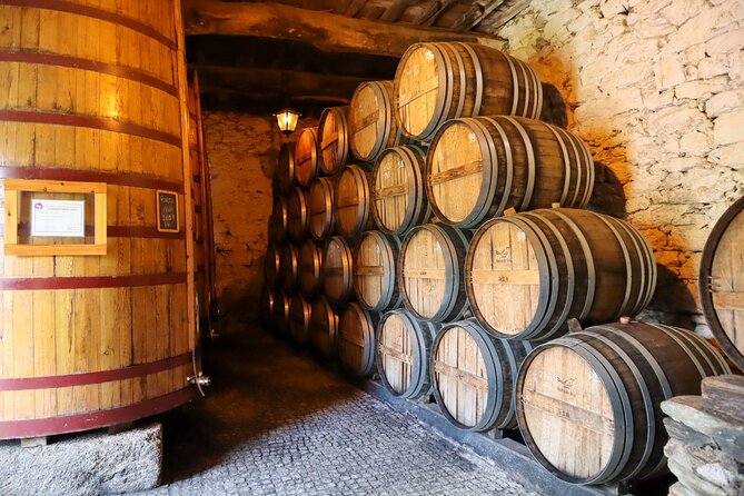 Authentic Small Group Douro Wine Tour with Lunch & River Cruise - A second winery with a local feel