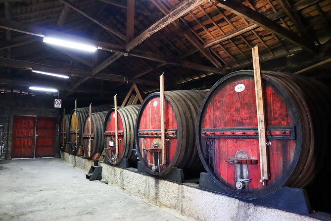 Authentic Small Group Douro Wine Tour with Lunch & River Cruise - Returning to Porto after a full day