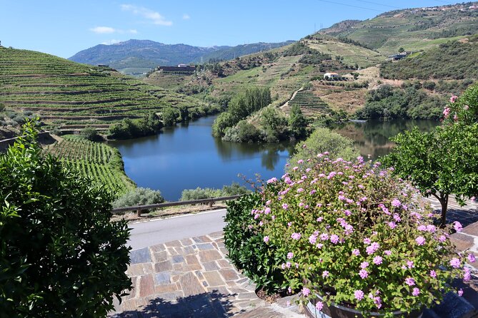 Authentic Small Group Douro Wine Tour with Lunch & River Cruise - Who should book this tour?