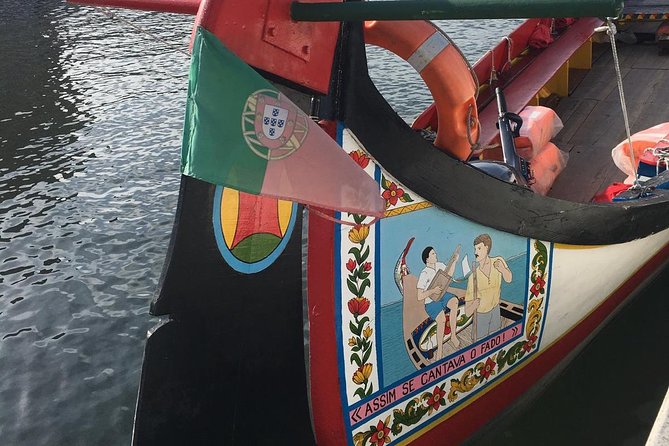 Aveiro and Coimbra Small Group Tour with Moliceiro Boat Cruise - Small-group service and the guides