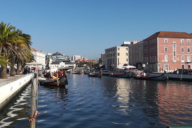 Aveiro and Coimbra Small Group Tour with Moliceiro Boat Cruise - Price, extras, and overall value