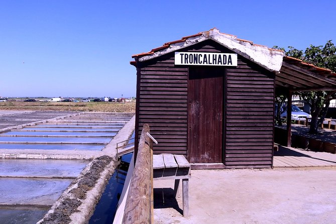 Aveiro and Costa Nova Half Day Tour from Porto with Boat Ride - Is $55.63 a fair price?