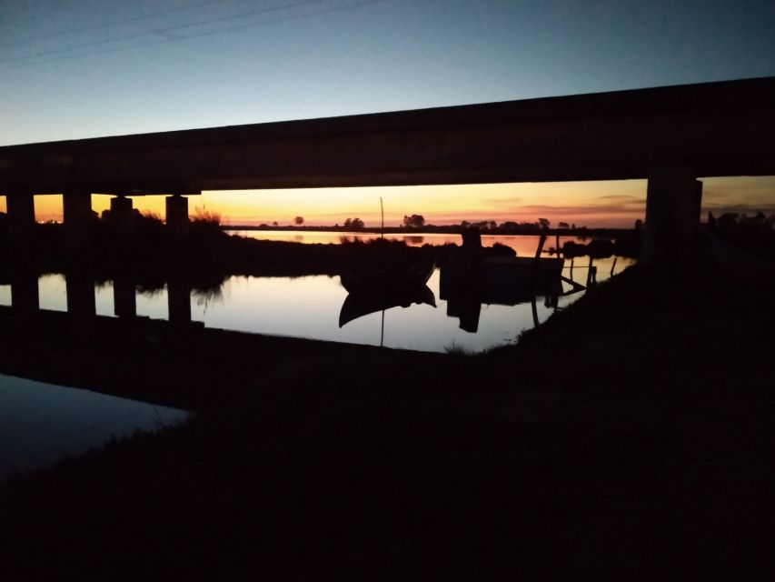 Aveiro: Boat Cruise and City Walking Tour with Sweet Tasting - Starting at Aveiro’s sacred center