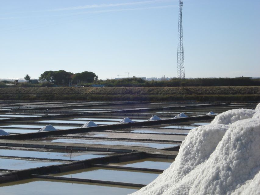 Aveiro: Boat Cruise and City Walking Tour with Sweet Tasting - Walking through Beira Mar for about 105 minutes