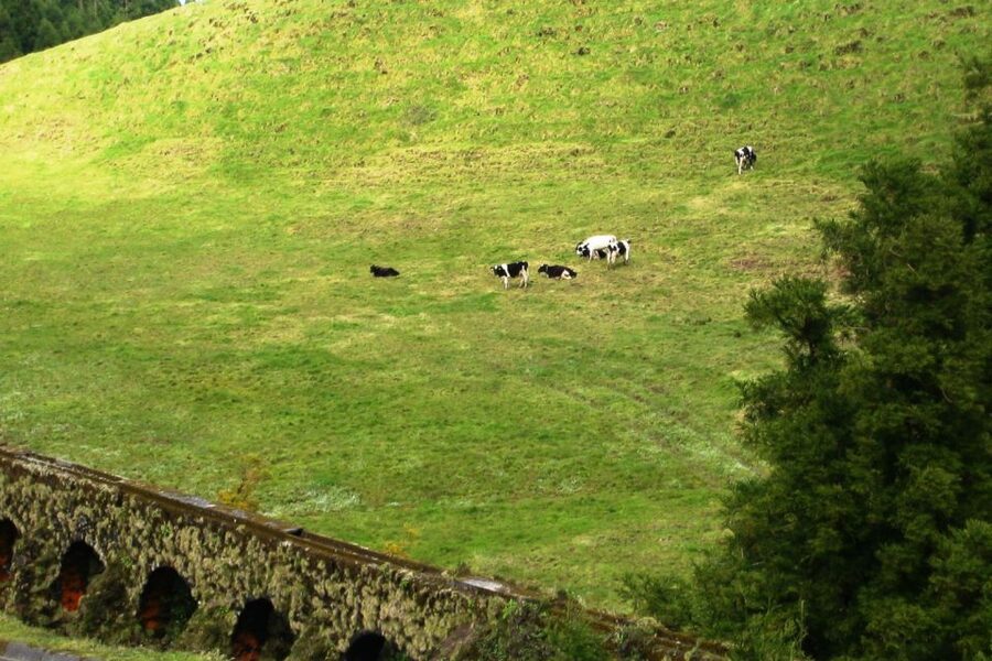 Azores: Sete Cidades Scenic Jeep Tour from Ponta Delgada - The smaller lakes: Rasa, Santiago, and Carvão