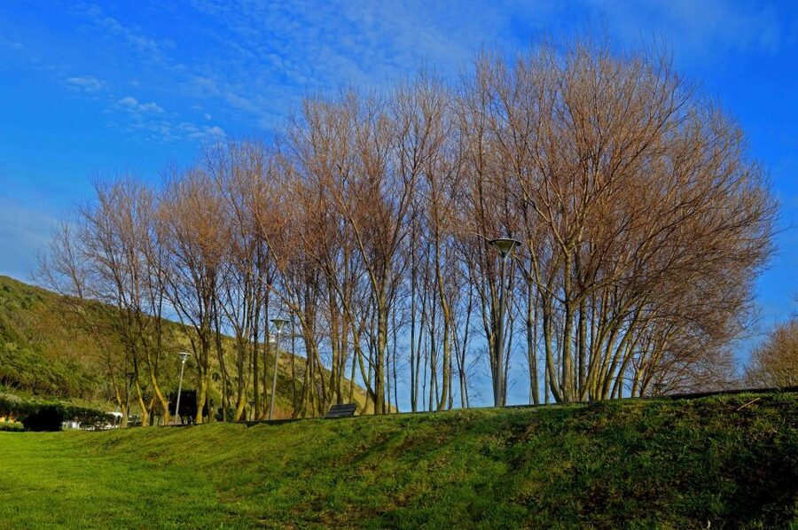 Azores: Terceira Island Full-Day Tour - Serra do Cume and the famous patchwork fields