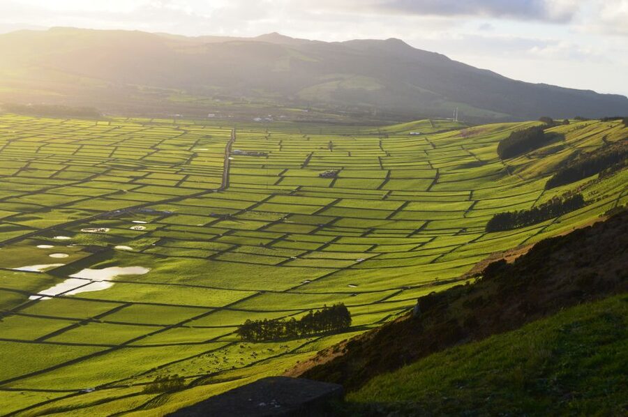 Azores: Terceira Island Full-Day Tour - Biscoitos: volcanic ground by the sea
