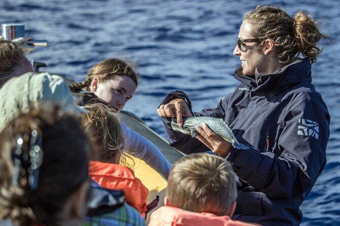 Azores Whale Watching & Islet Boat Tour - Starting at Vila Franca do Campo Marina