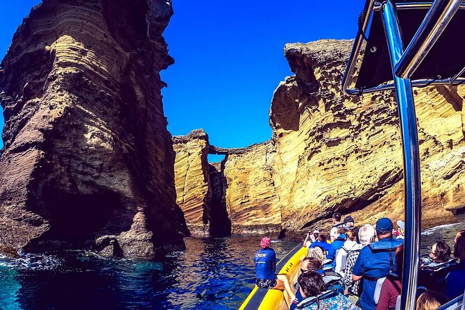 Azores Whale Watching & Islet Boat Tour - Searching for whales and dolphins offshore