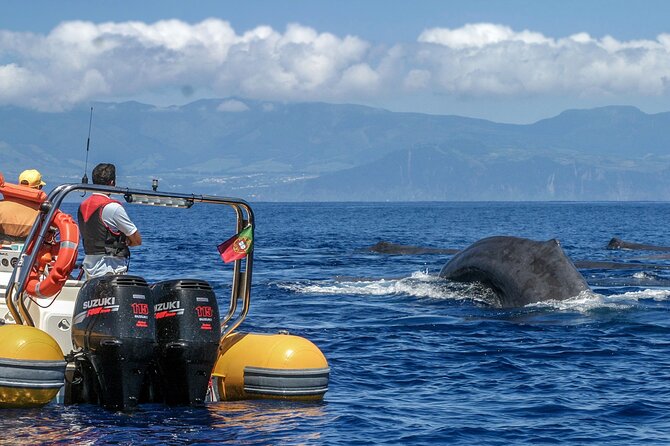 Azores Whale Watching & Islet Boat Tour - What the RIB ride feels like