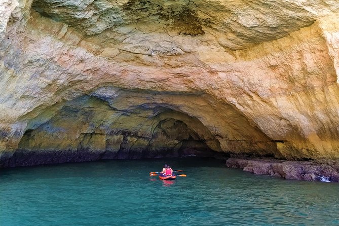 Benagil And Dolphins Tour - Who Will Enjoy This Tour Most?