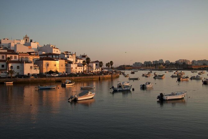 Benagil Cave and Marinha Beach Boat Tour from Portimao - Benagil Cave from the water