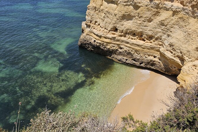 Benagil Cave Tour From Faro - Discover The Algarve Coast - Is the $60.34 price fair?