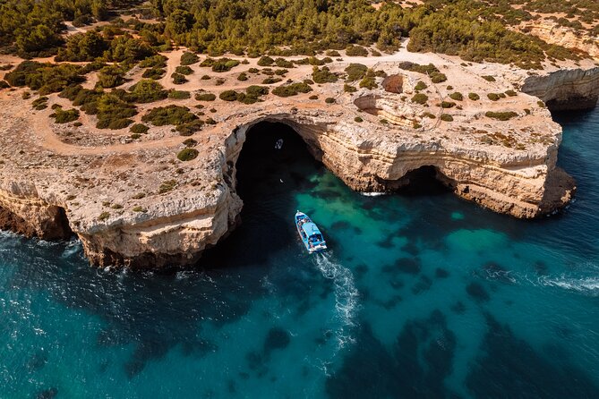Benagil Caves and Dolphin Watching - 2.5h - Leaving Albufeira Marina for the Algarve Coast