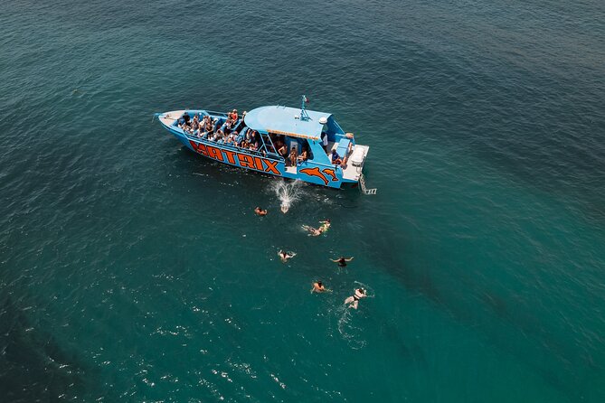 Benagil Caves and Dolphin Watching - 2.5h - Crew, commentary, and onboard atmosphere
