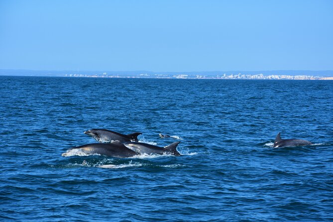 Benagil Caves Visit with Dolphins Watching from Albufeira - Leaving Albufeira Marina for Armação de Pêra