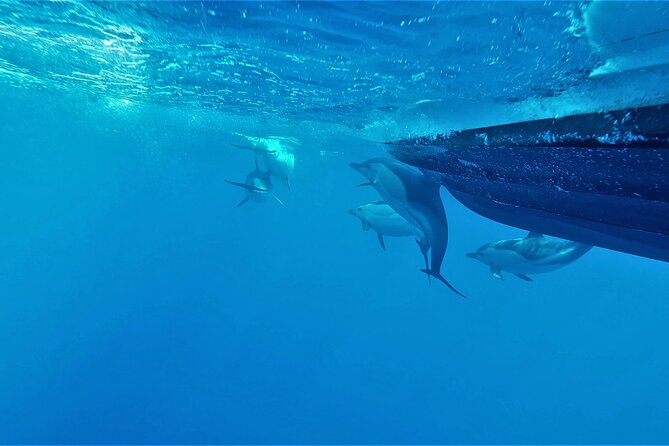 Benagil Caves Visit with Dolphins Watching from Albufeira - Entering the Famous Benagil Cave