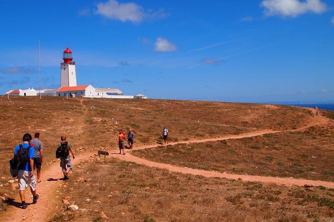 Berlenga Island Small-Group Day Trip from Lisbon - Lunch at the harbor and time to choose
