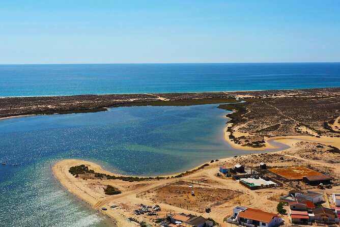 Boat Tour of 2 Ria Formosa Islands: Culatra and Armona - Wildlife, Binoculars, and the Limits of the Route