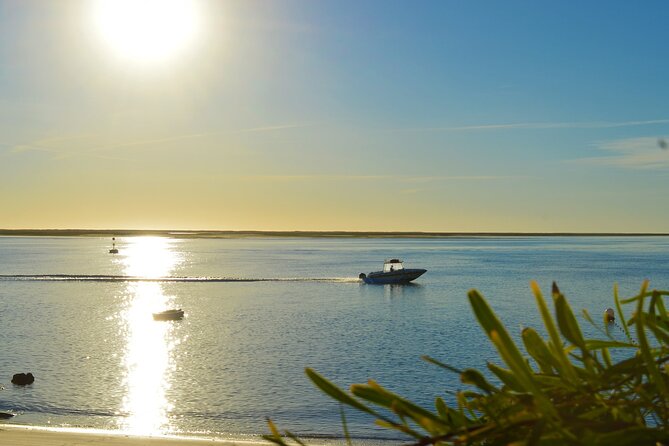 Boat Tour of 2 Ria Formosa Islands: Culatra and Armona - How the $36.30 Price Measures Up