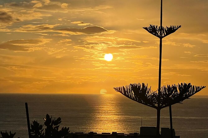 CABO GIRÃO (Half Day tour/3h) / Private Classic Car (4L). - Why this short west-coast tour works