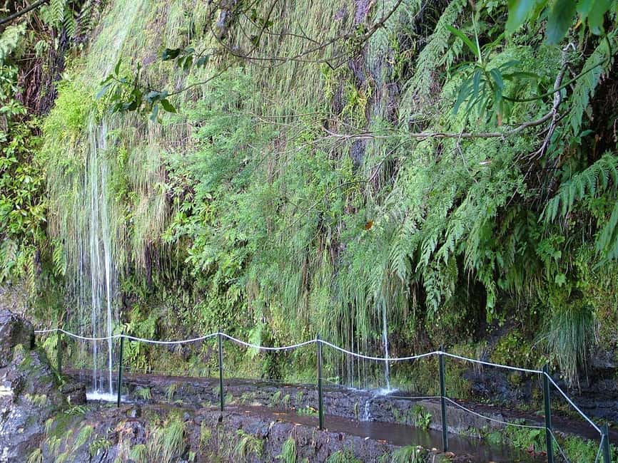 Caldeirão Verde: Queimadas PR9 Transfer and Self-Guided Hike - The levada trail, waterfalls, and four tunnels