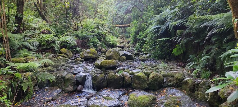 Caldeirão Verde: Queimadas PR9 Transfer and Self-Guided Hike - The 5.5-hour walking schedule