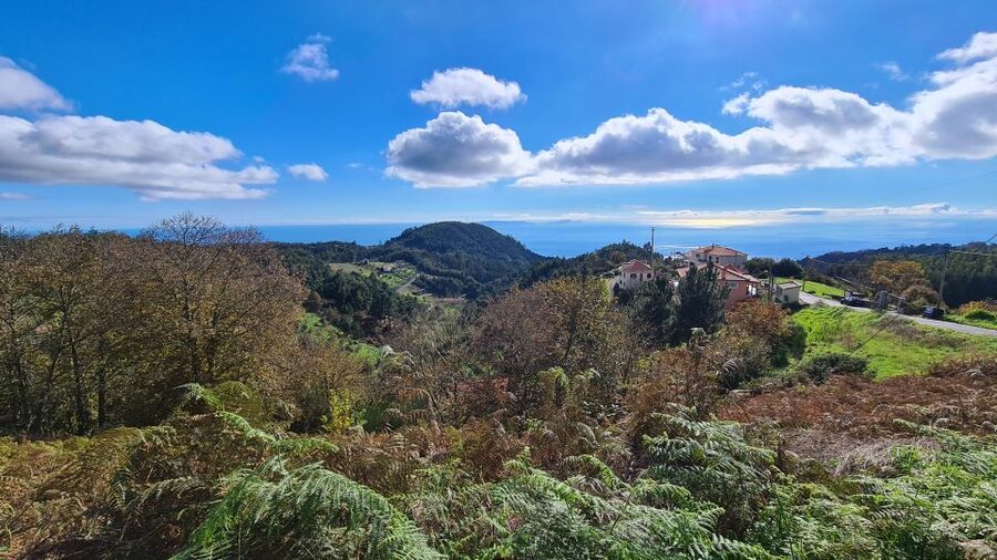 Camacha: Levada Trail e-Bike Guided Tour - Why Camacha makes a fine starting point