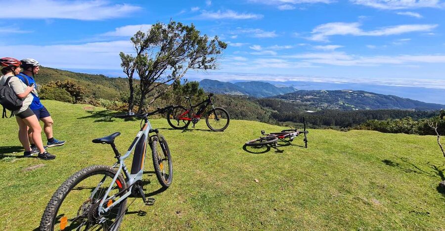Camacha: Levada Trail e-Bike Guided Tour - Along the levada for about 1.5 hours