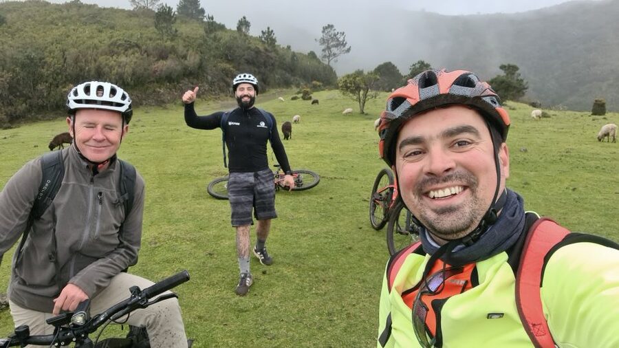 Camacha: Levada Trail e-Bike Guided Tour - The oak-lined descent back to Camacha