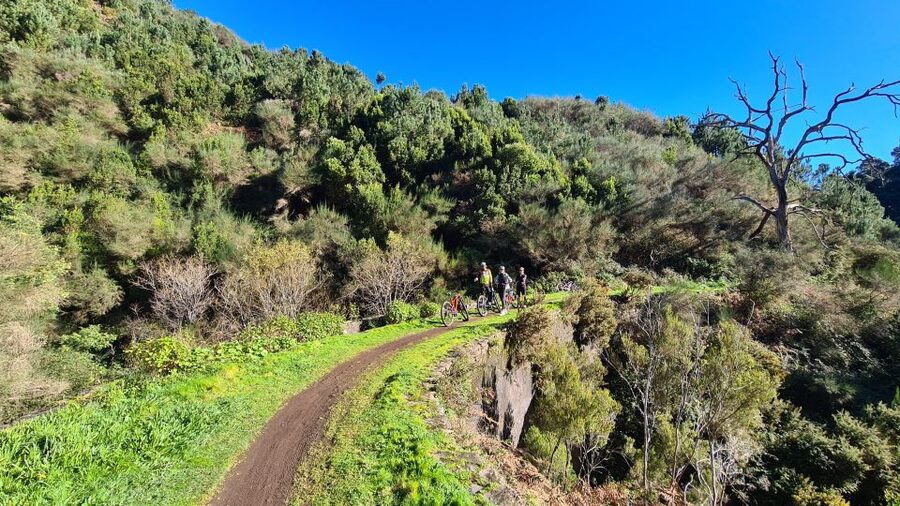 Camacha: Levada Trail e-Bike Guided Tour - What the $82 price really includes