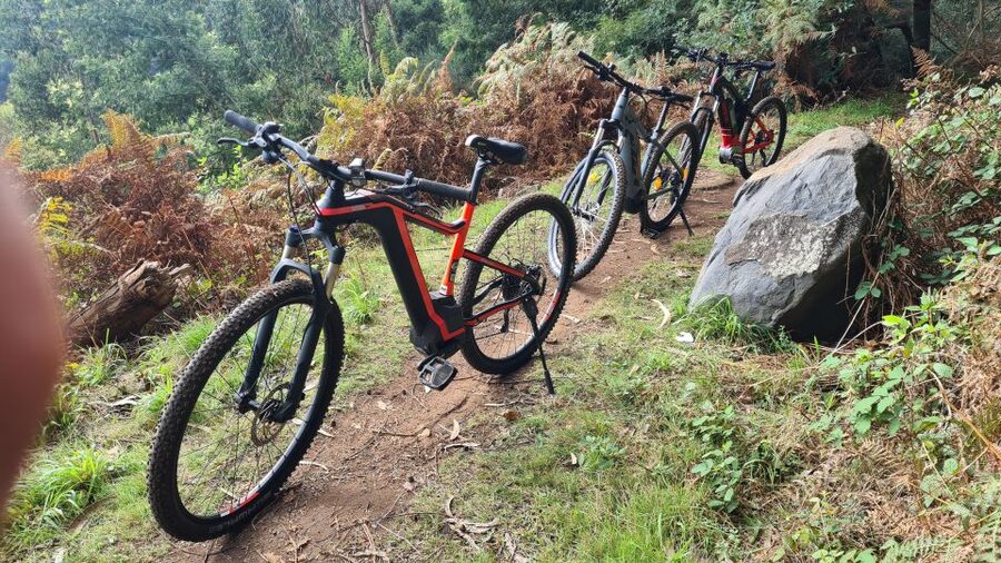 Camacha: Levada Trail e-Bike Guided Tour - Getting comfortable with the e-bike