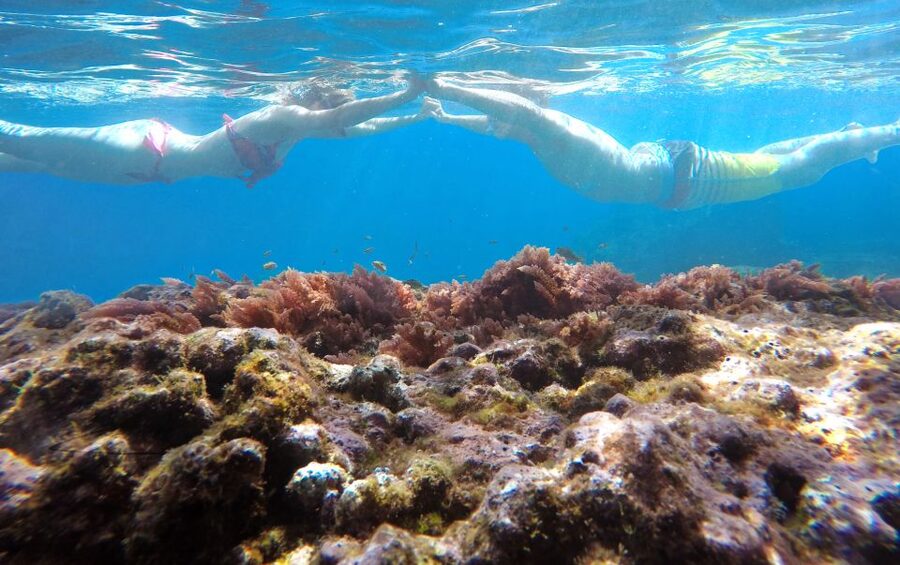 Caniço, Madeira: Marine Reserve Kayak & Snorkelling Tour - Snorkeling where the fish gather