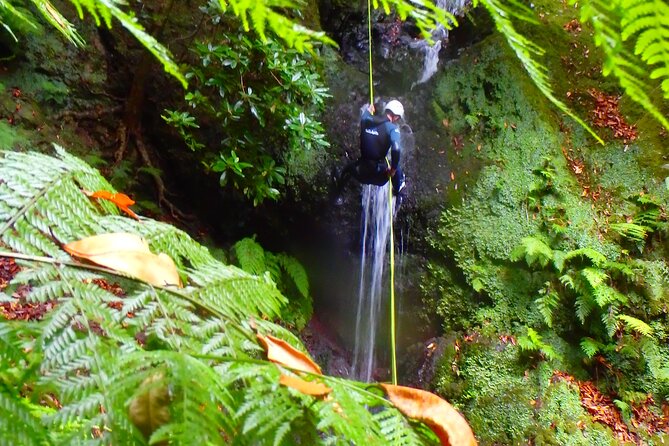 Canyoning Madeira Island - Level One - Fitness, comfort, and who should book
