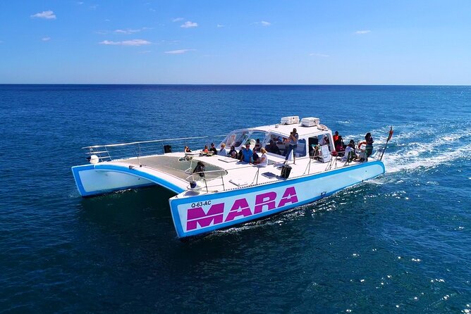 Catamaran Cruise: Caves and Coastline to Benagil - Who will enjoy this cruise most?