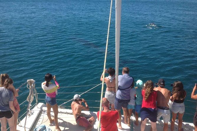 Catamaran Cruise in Lagos - D. Ana Beach and the first cliff views