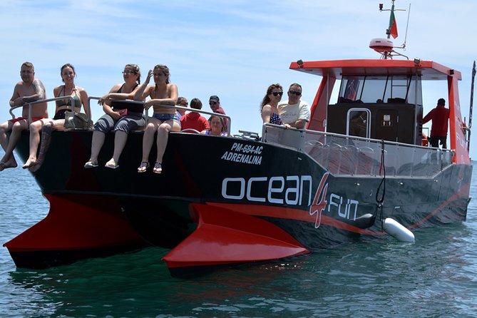 Catamaran Tour to Benagil Caves - Key points at a glance