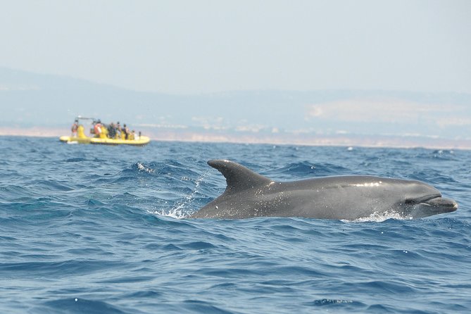 Caves and Dolphin Watching Cruise from Albufeira - Stop 4: Praia da Marinha