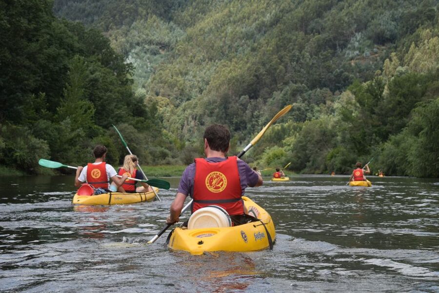 Coimbra: Mondego River Kayaking Tour - Five things to know before you paddle