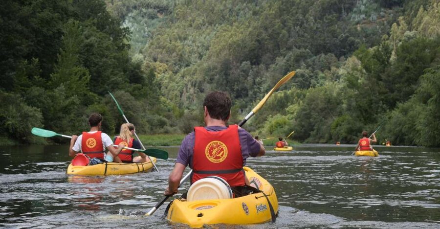 Coimbra: Mondego River Kayaking Tour - The Mondego Valley from a kayak