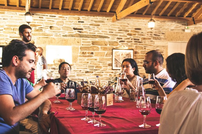 Complete Douro Valley Wine Tour with Lunch, Wine Tastings and River Cruise - Why this Douro Valley day trip works