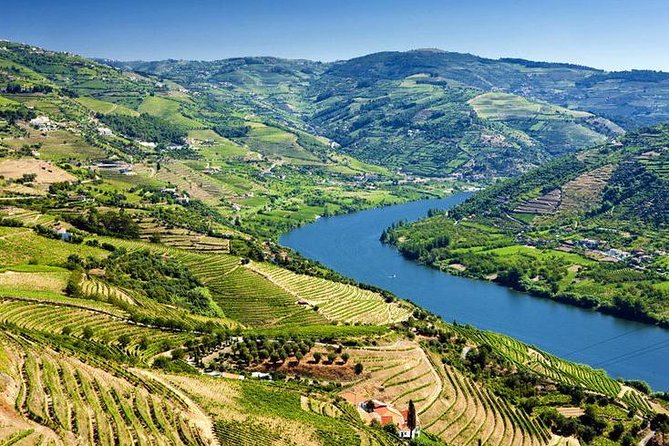 Complete Douro Valley Wine Tour with Lunch, Wine Tastings and River Cruise - A full Portuguese lunch with wine